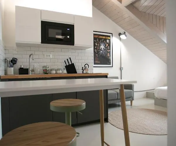 Cibrario Cit Apartment _ Circle